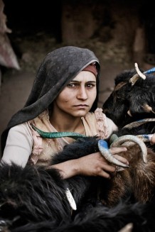 This shepherdess, who holds very tight the goats she received during last year’s distribution, is unknown to us. She lives in a Taliban infested village where NGOs’ presence is not welcomed. In Afghanistan security is decreasing. 2010