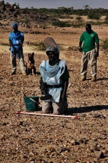 Demining fields at Rassai, Kassala State. Sudan 2016