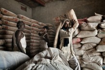 Cesvi's distribution of shelter construction materials to 300 families. Sufi Faqueer, Sindh. Pakistan 2013
