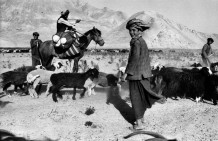 Uzbek shepherds with their herd. Samangan, Afghanistan, 2003.