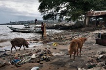 “Shallow Waters”, Goderich, Freetown. Sierra Leone 2017