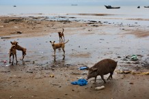 “Shallow Waters”, Goderich, Freetown. Sierra Leone 2017