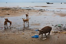 “Shallow Waters”, Goderich, Freetown. Sierra Leone 2017