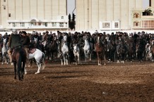 Buzkashi. Mazar-i-Sharif, Afghanistan, 1391 (2013)