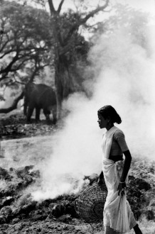 Desaswom Punnathur Kotta , Guruvayur. Kerala, India, 1996