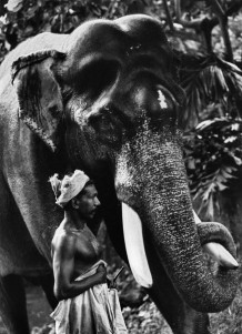 Desaswom Punnathur Kotta , Guruvayur. Kerala, India, 2007